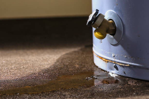Best Local water damage restoration  in Galveston, TX