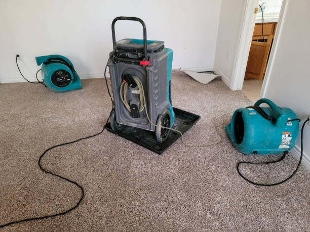 Best Flood damage cleanup  in Galveston, TX