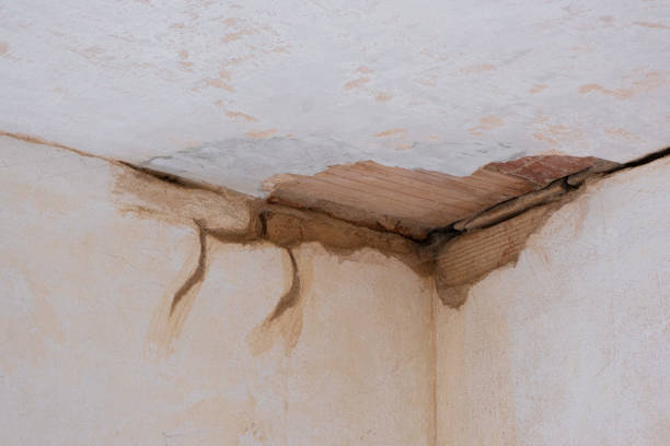 Best Flood damage cleanup  in Galveston, TX