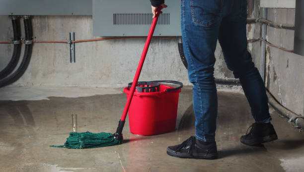 Best Fire Damage Restoration  in Galveston, TX
