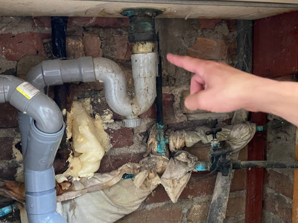 Best Carpet water damage restoration  in Galveston, TX