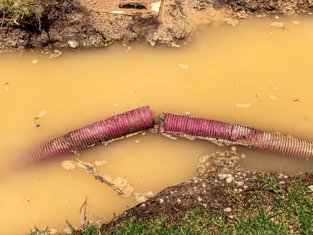 Best Carpet water damage restoration  in Galveston, TX